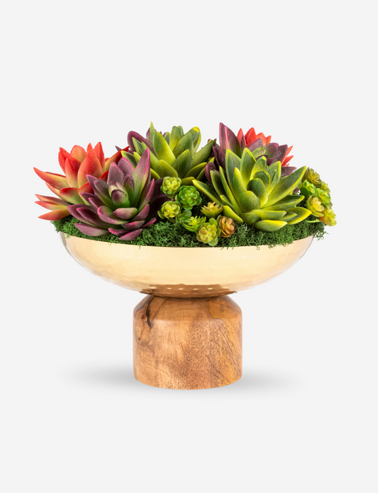 Petra Succulent Wooden Pedestal Arrangement