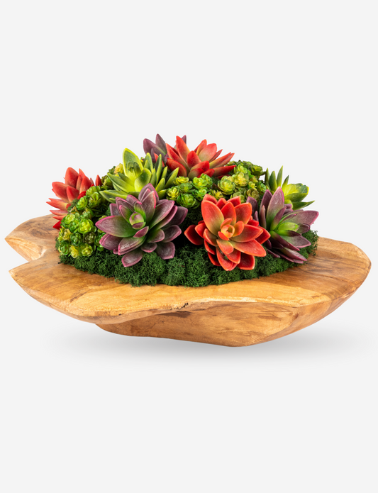 Mojave Wooden Bowl Succulent Arrangement