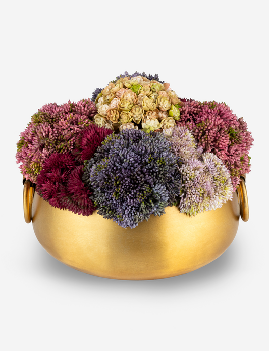 Beatrix Gold Sedum Arrangement