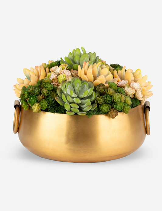 Blaise Succulent Arrangment