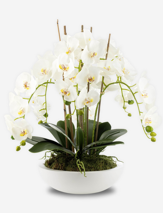 Terra RealTouch Orchid Arrangement