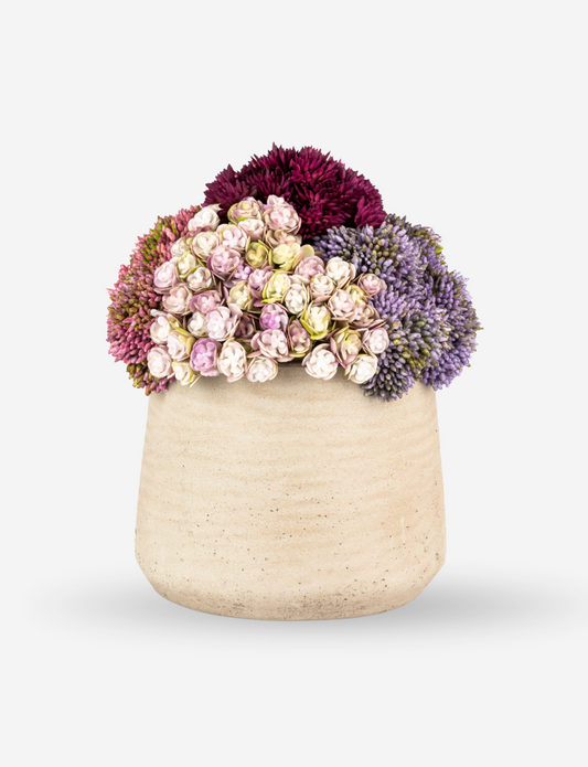 Neriah Mini Sedum Arrangement