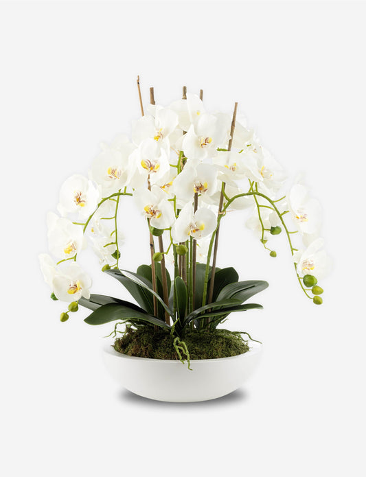 Terra RealTouch Orchid Arrangement