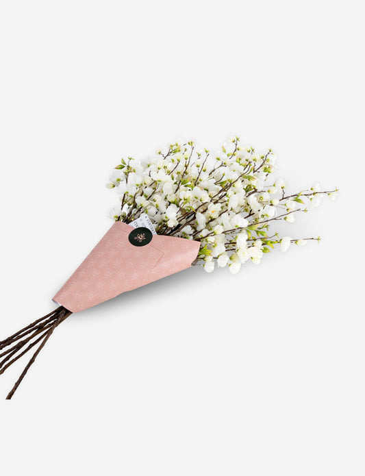 Cielo Cherry Blossom Bundle