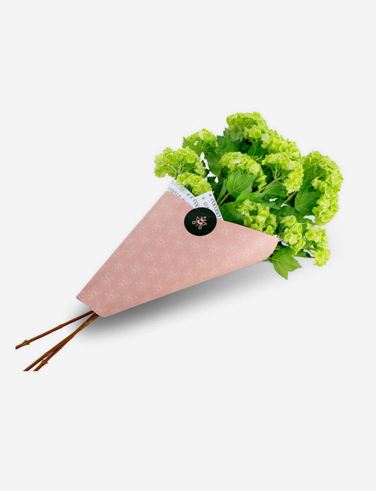 Eloise SnowBall Hydrangea RealTouch Bundle