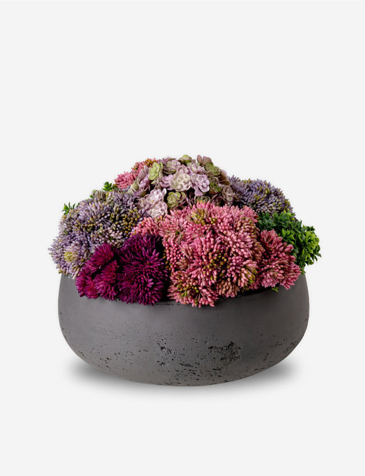 Georgina Sedum Arrangement