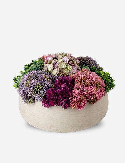 Georgina Sedum Arrangement