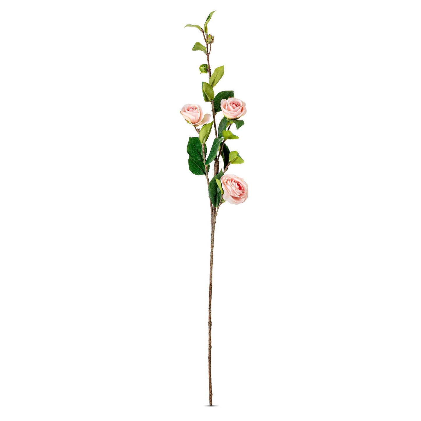 Sophia Pink Branchy Rose Bundle