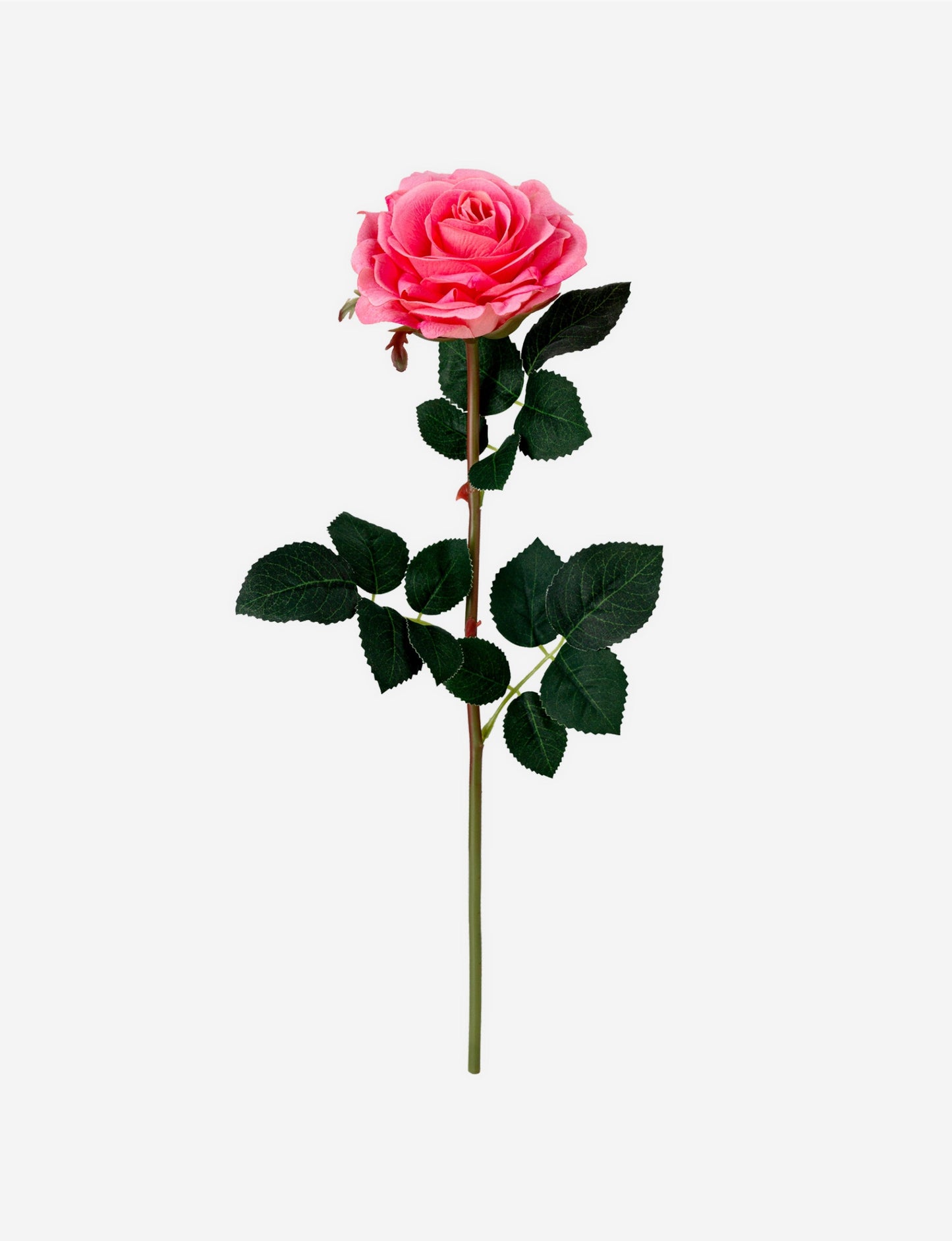 Meara Rose RealTouch Bundle