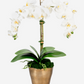Rowan RealTouch Orchid