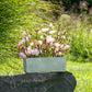 Caroma Blush Mixed Florals