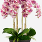 Abella RealTouch Orchid Arrangement