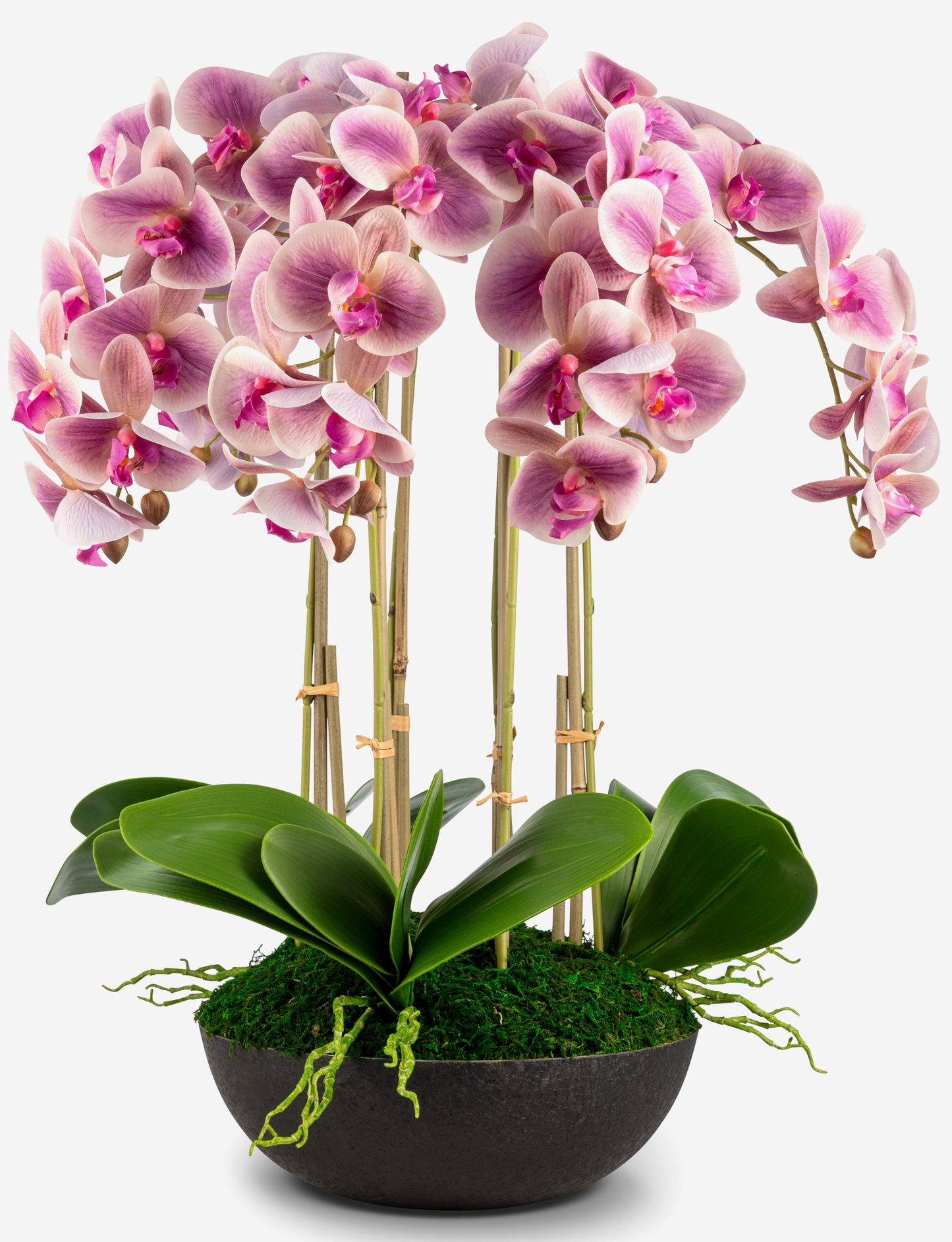 Abella RealTouch Orchid Arrangement