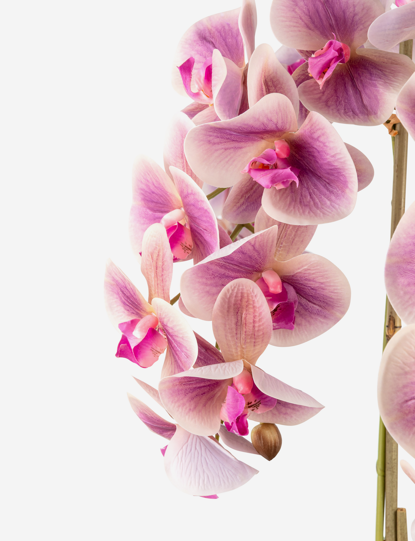 Abella RealTouch Orchid Arrangement