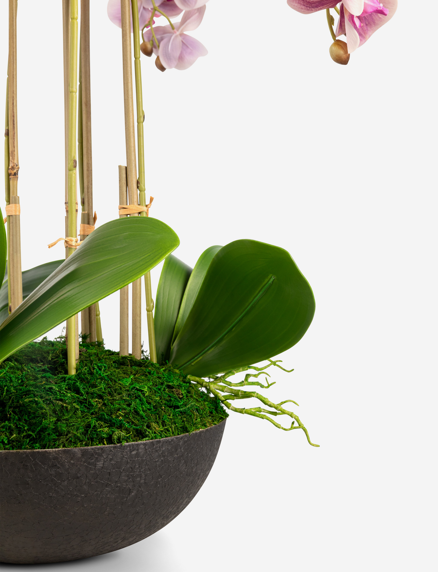 Abella RealTouch Orchid Arrangement