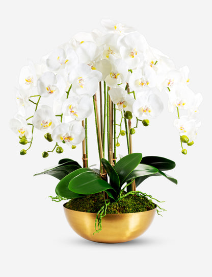 Abigail Gold RealTouch Orchid