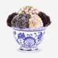 Adair Toile Sedum Bowl