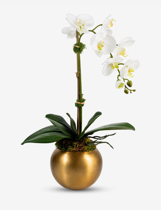 Adeline Gold RealTouch Orchid