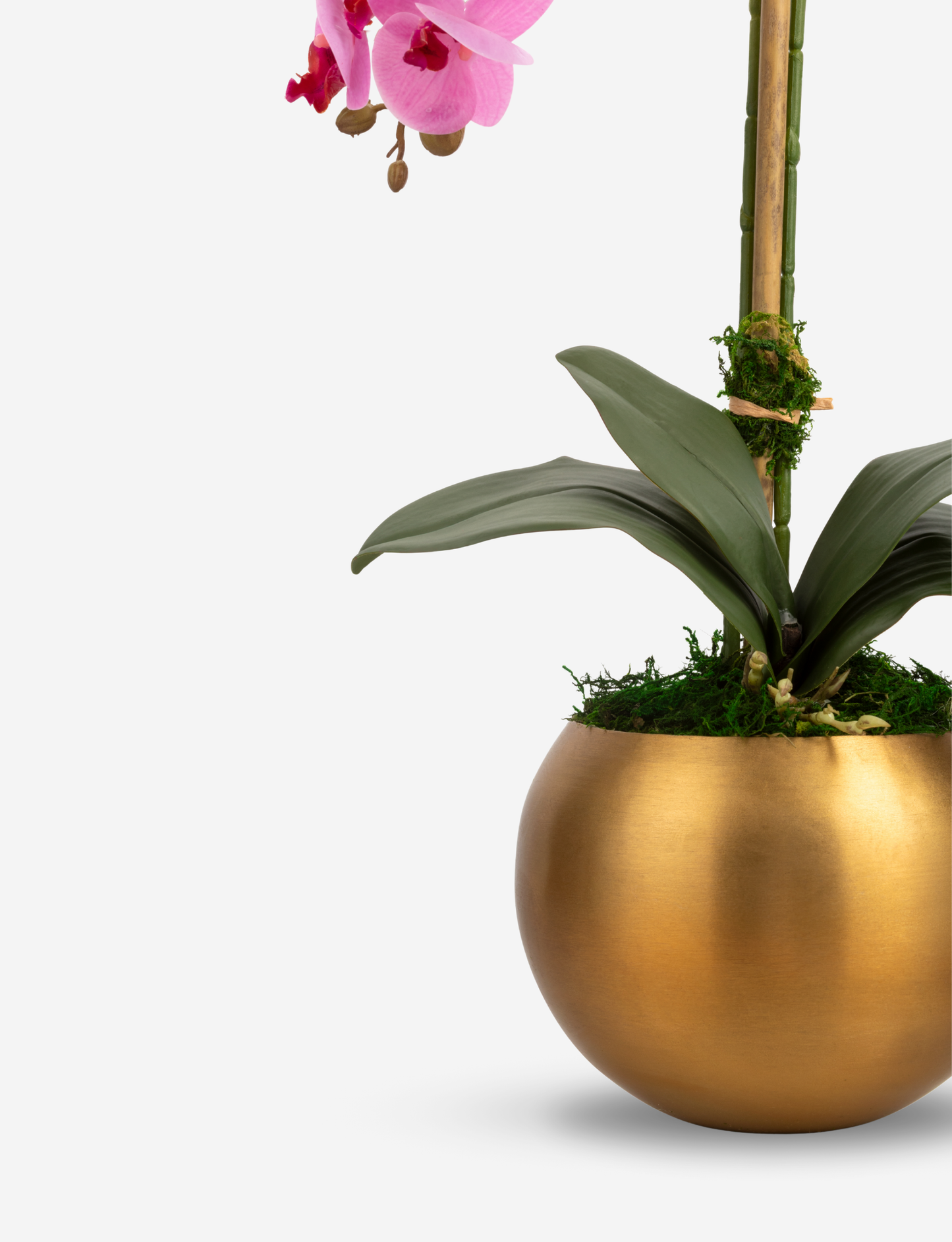 Adeline Gold RealTouch Orchid