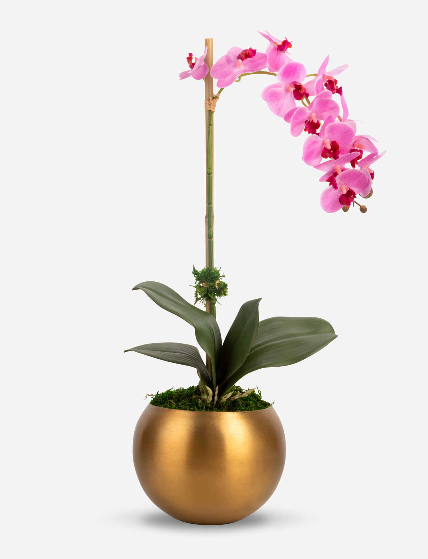 Adeline Gold RealTouch Orchid