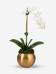 Adeline Gold RealTouch Orchid