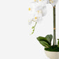 Anne RealTouch Orchid Arrangement