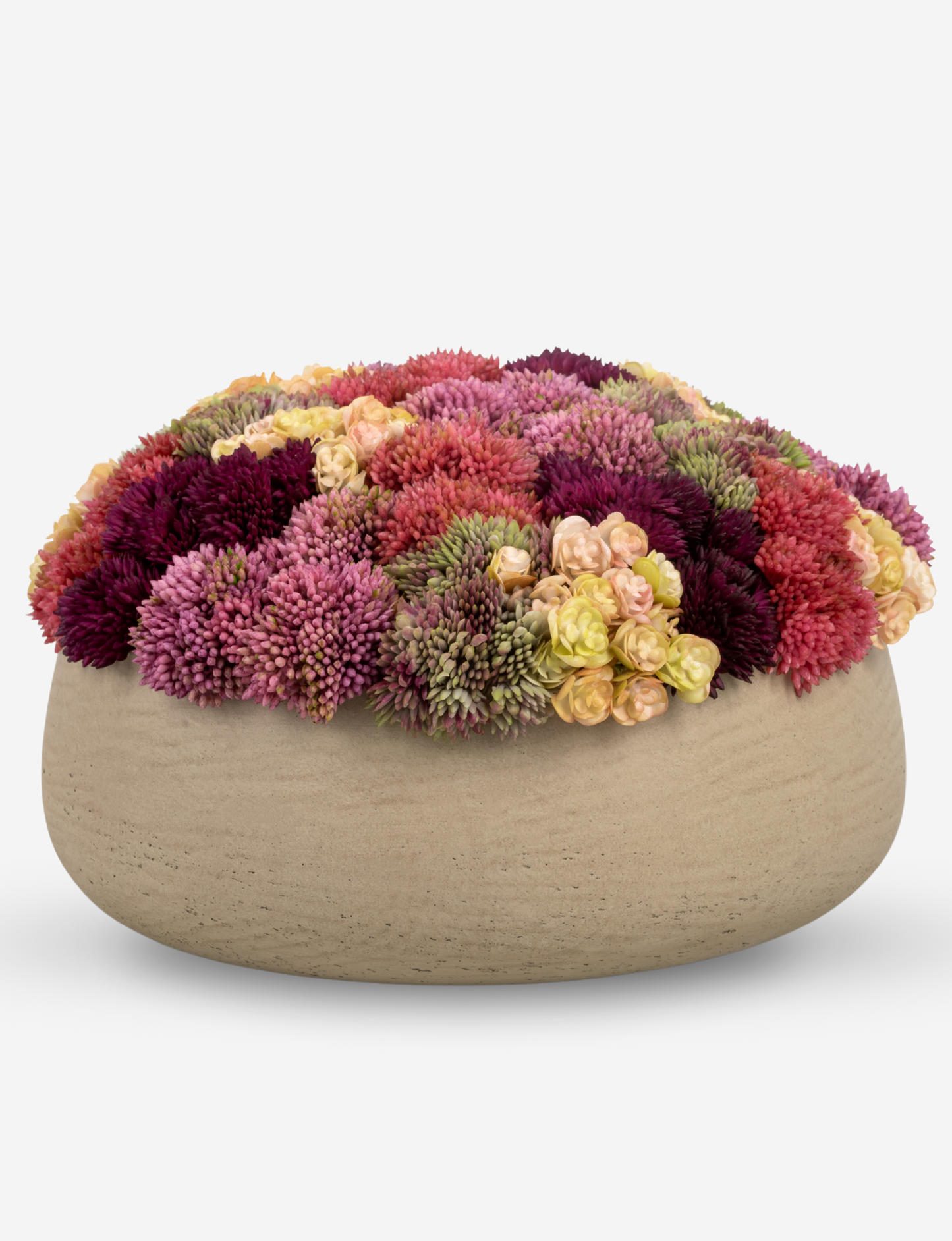 Ariane Sedum Arrangement