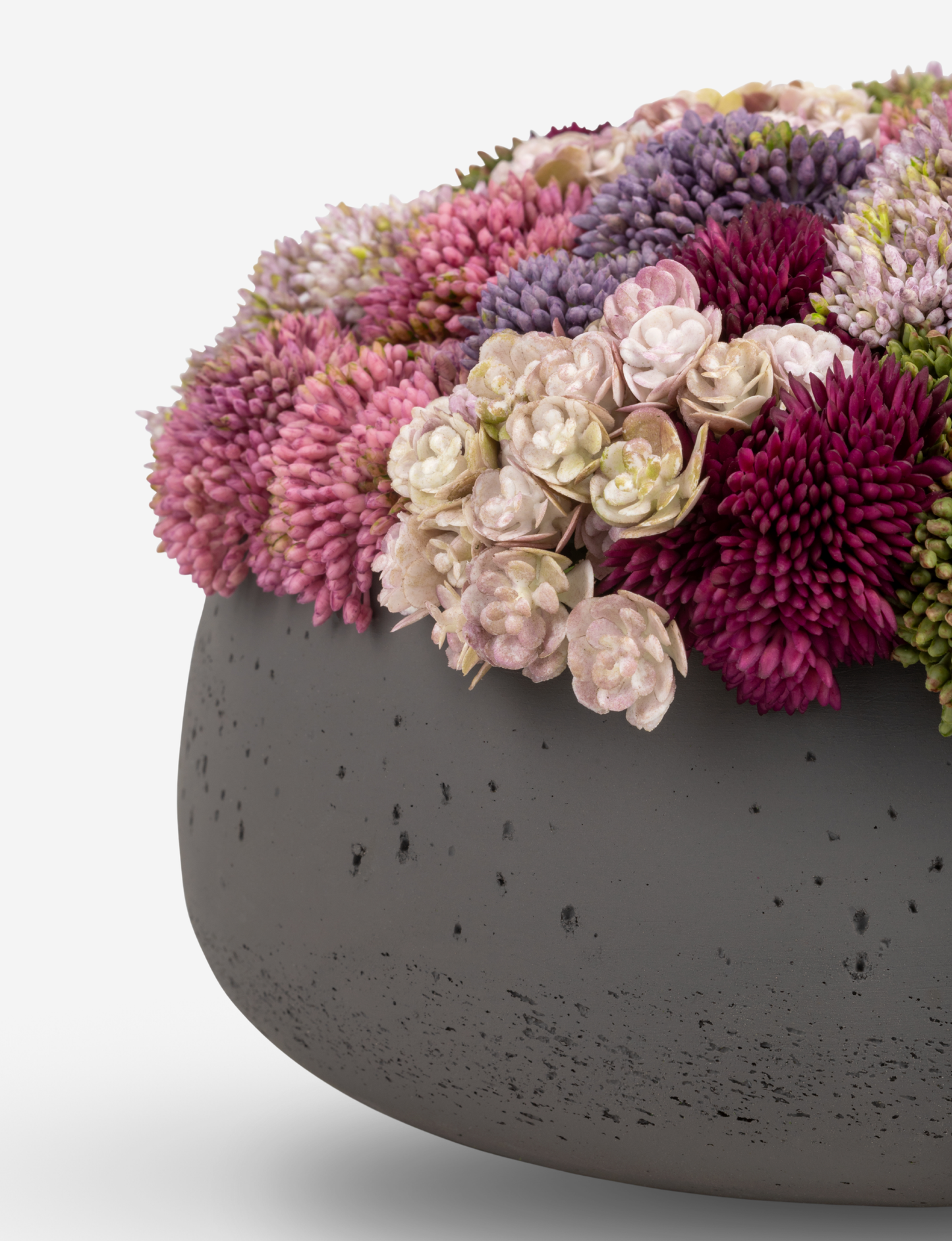 Ariane Sedum Arrangement