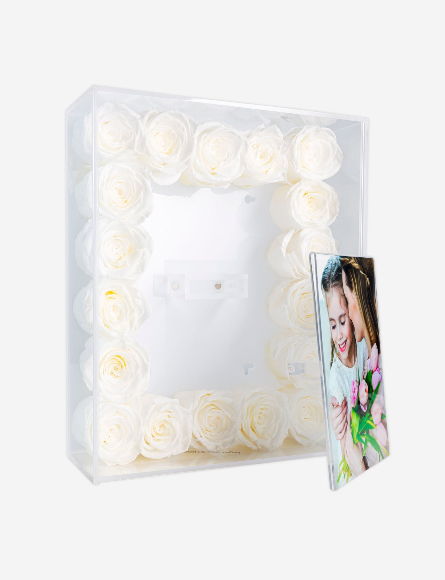 Arlo Rose Picture Frame