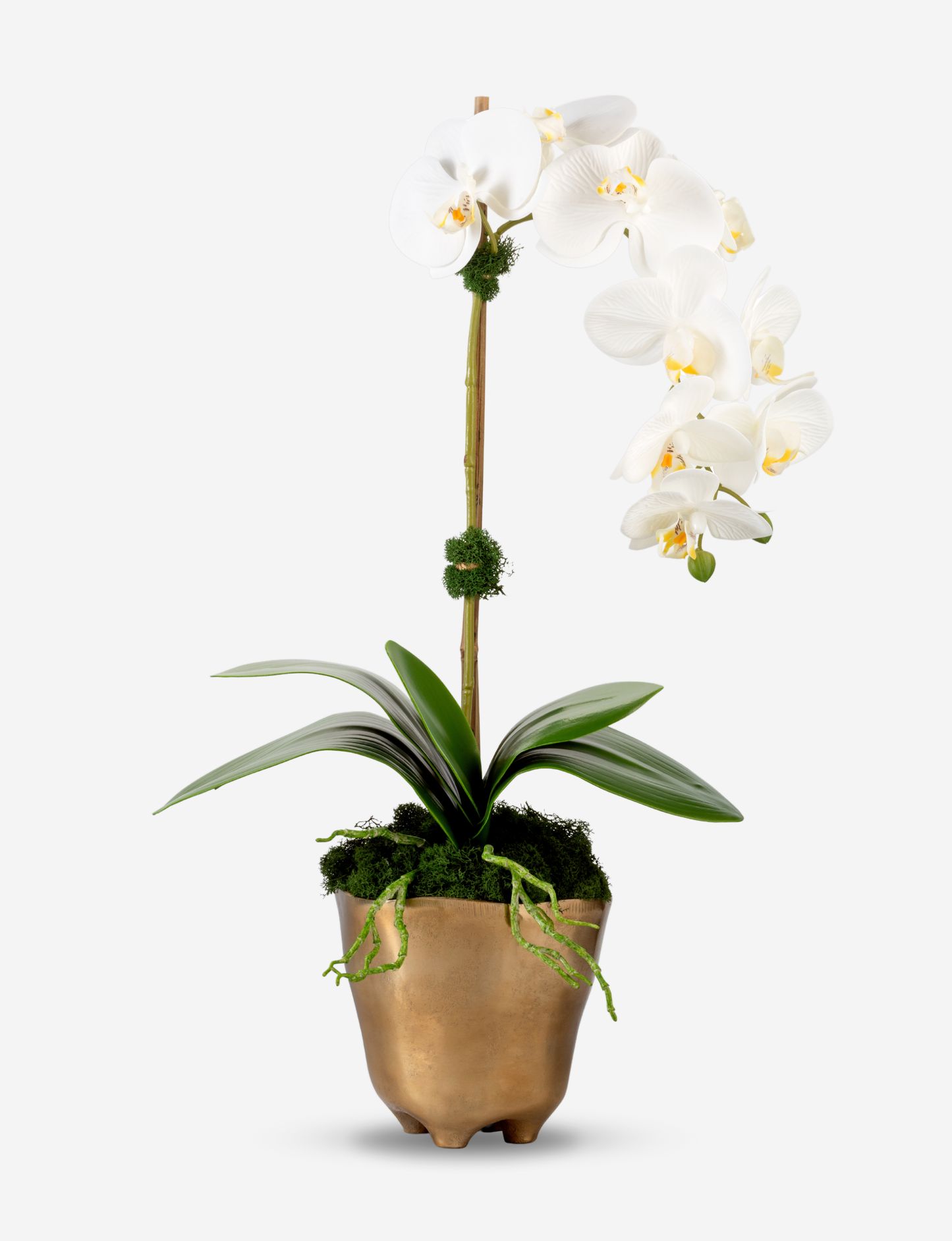 Axel RealTouch Orchid Arrangement