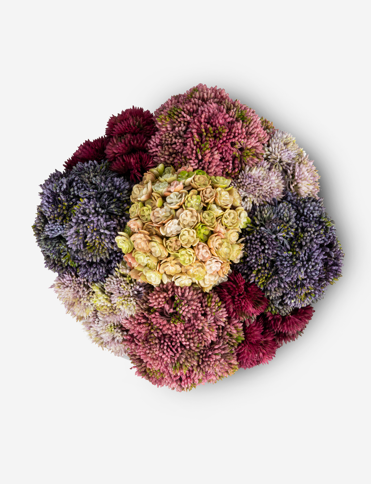 Beatrix Gold Sedum Arrangement – CocoBella