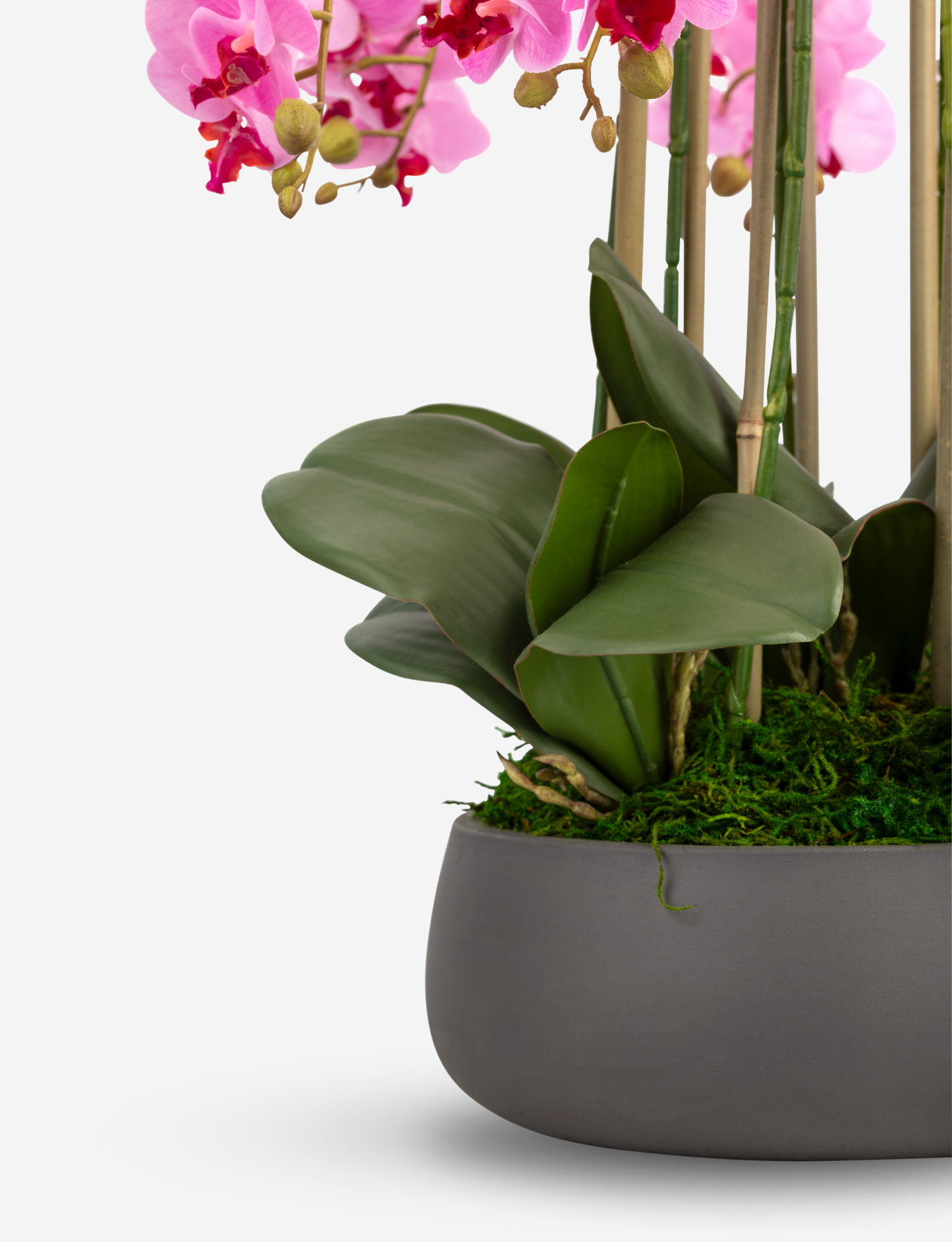 Brianna RealTouch Orchid Arrangement