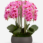 Brianna RealTouch Orchid Arrangement