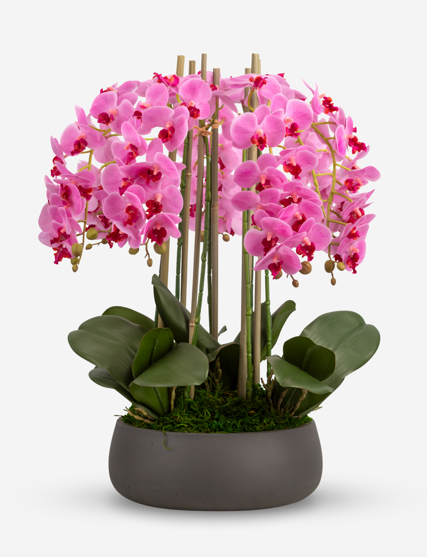 Brianna RealTouch Orchid Arrangement