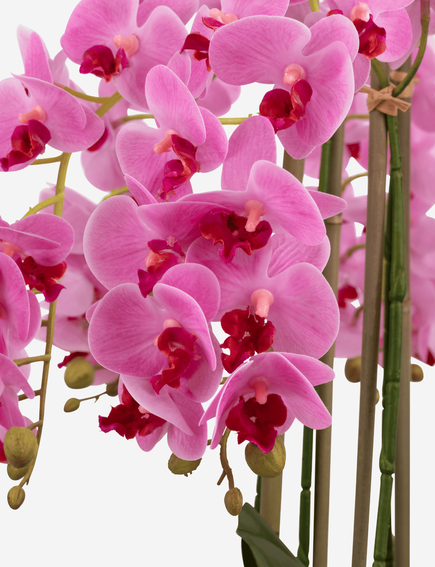 Brianna RealTouch Orchid Arrangement
