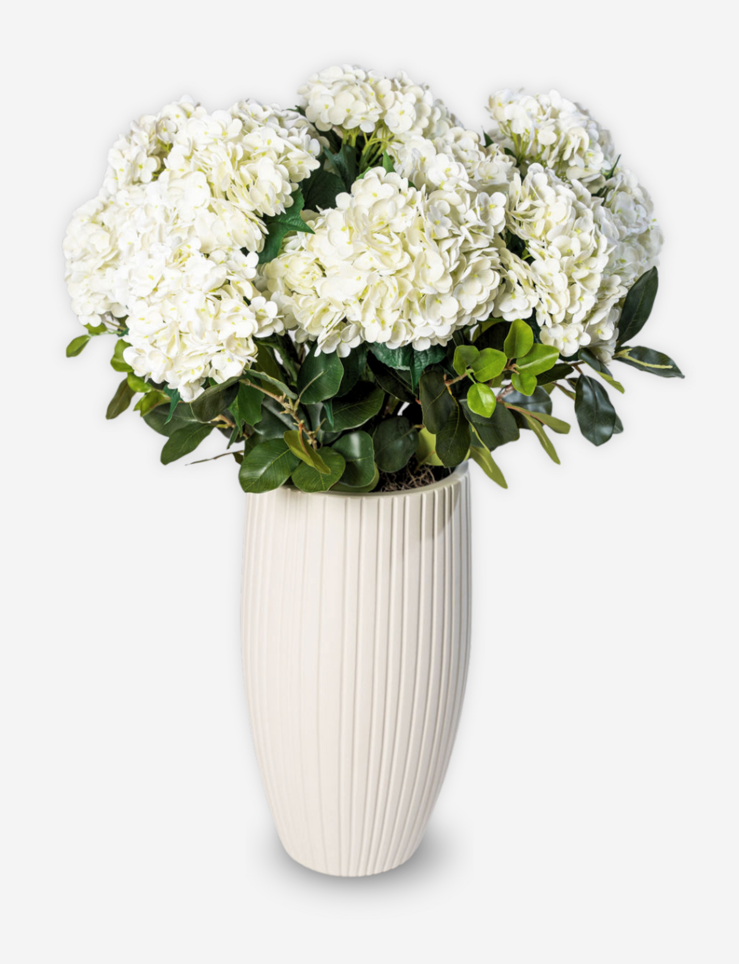 TMD X CB Brooke Indoor/Outdoor Hydrangea Planter