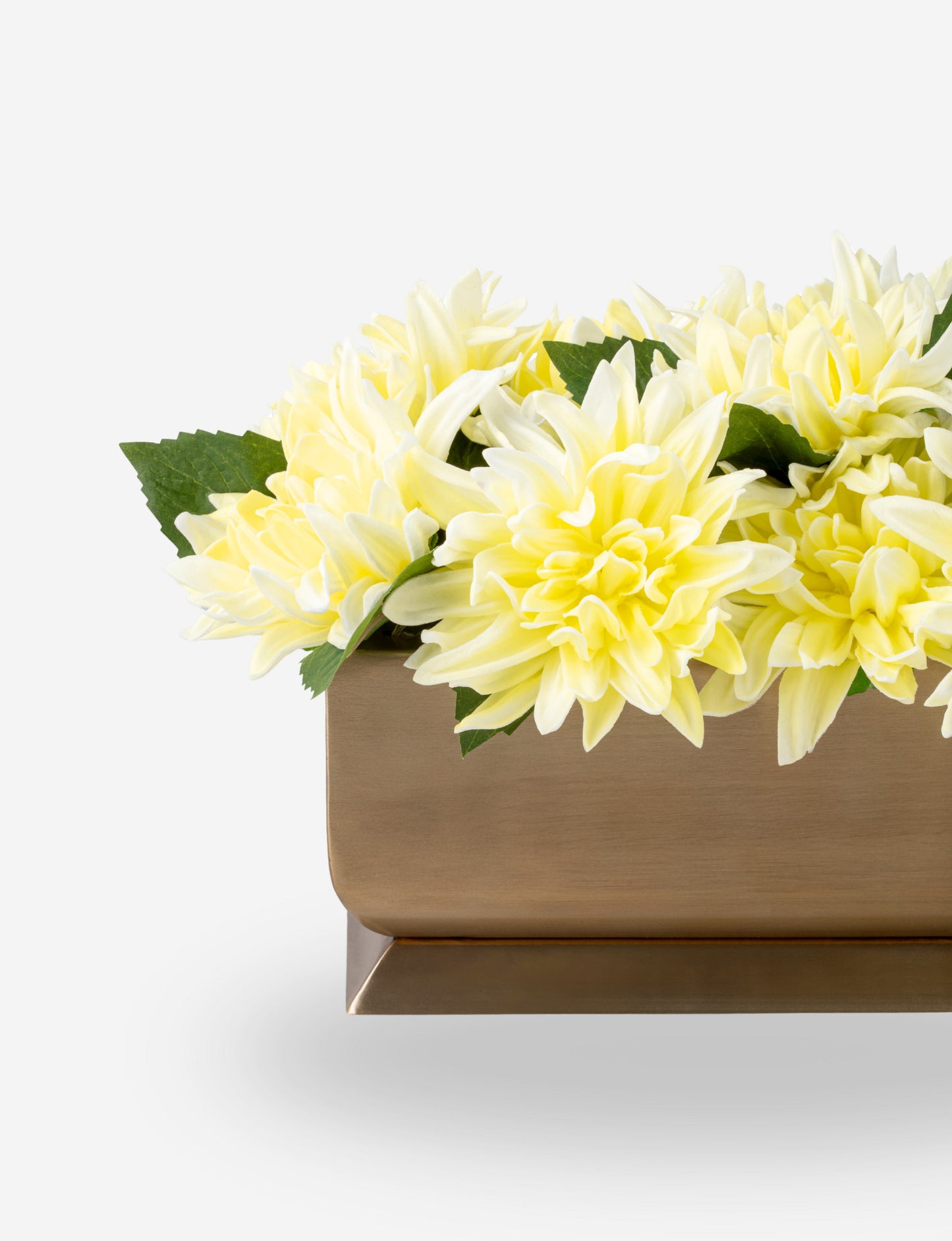 Carlotta RealTouch Dahlia Gold Trough