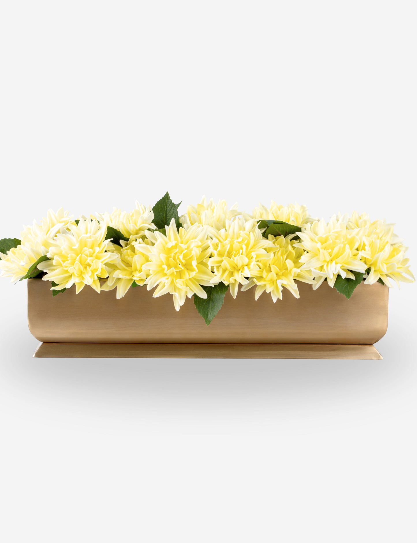 Carlotta RealTouch Dahlia Gold Trough