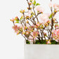 Caroma Blush Mixed Florals