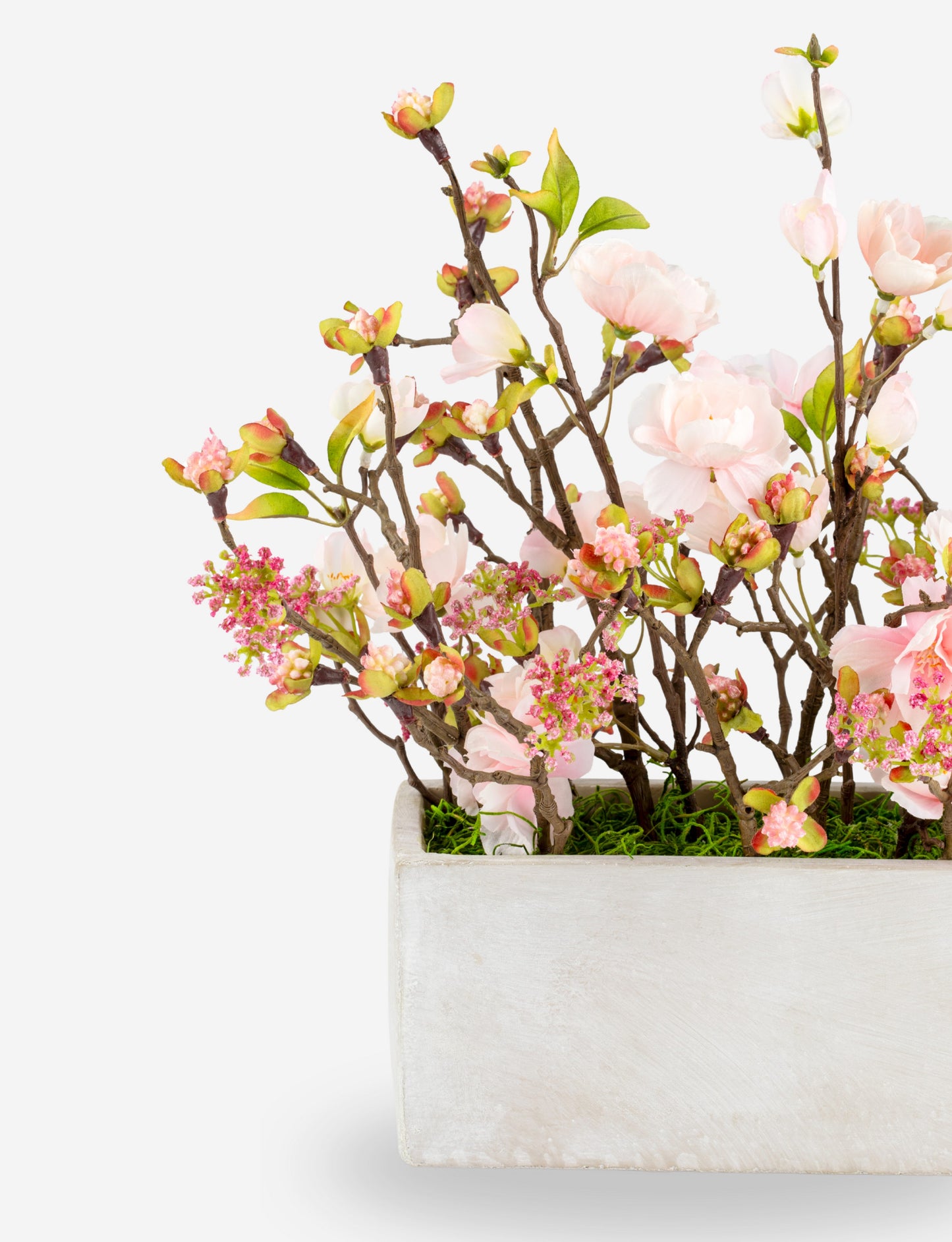 Caroma Blush Mixed Florals
