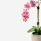 Cassandra RealTouch Orchid Arrangement