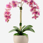 Cassandra RealTouch Orchid Arrangement