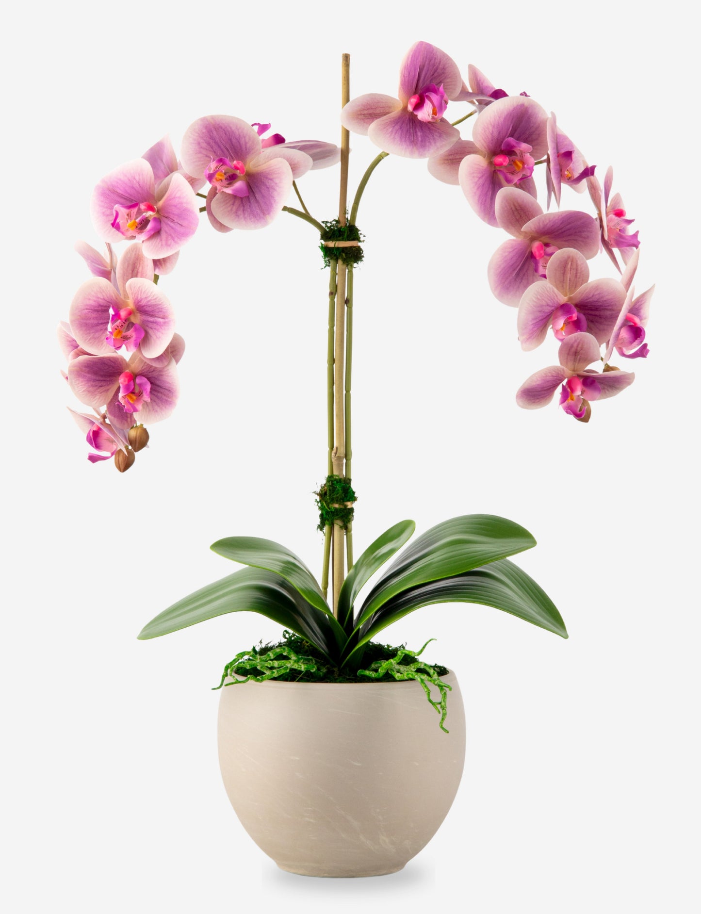 Cassandra RealTouch Orchid Arrangement