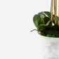 Celeste RealTouch Orchid Arrangement