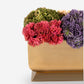 Chantilly Sedum Gold Trough