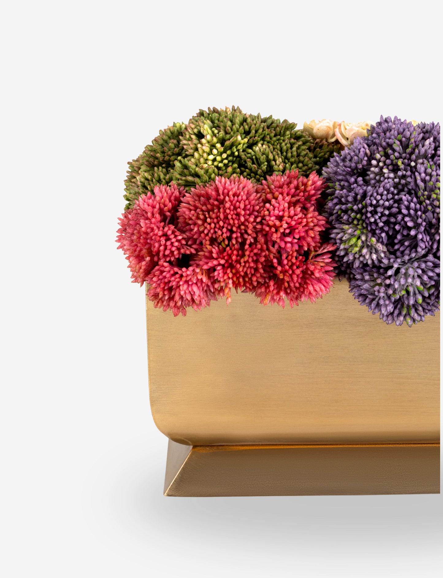 Chantilly Sedum Gold Trough