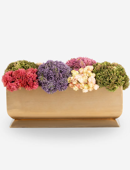 Chantilly Sedum Gold Trough
