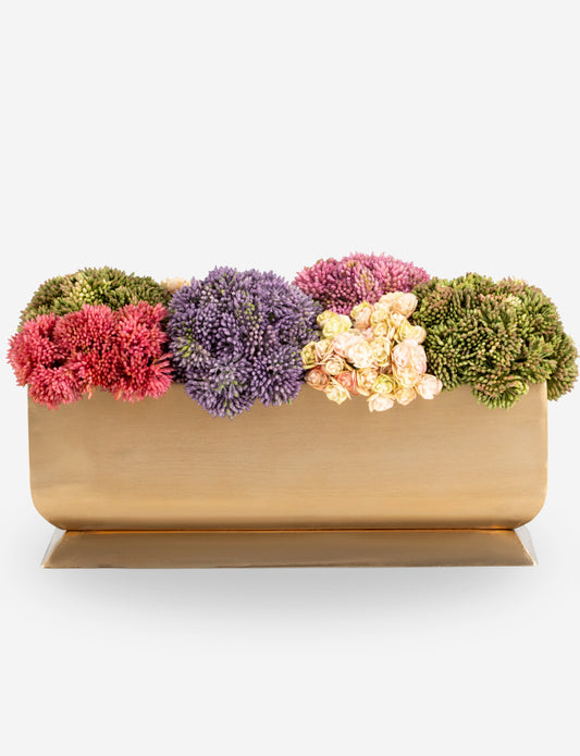 Chantilly Sedum Gold Trough