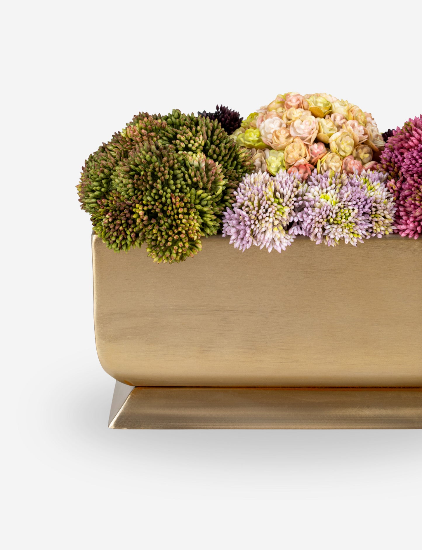 Chantilly Sedum Gold Trough