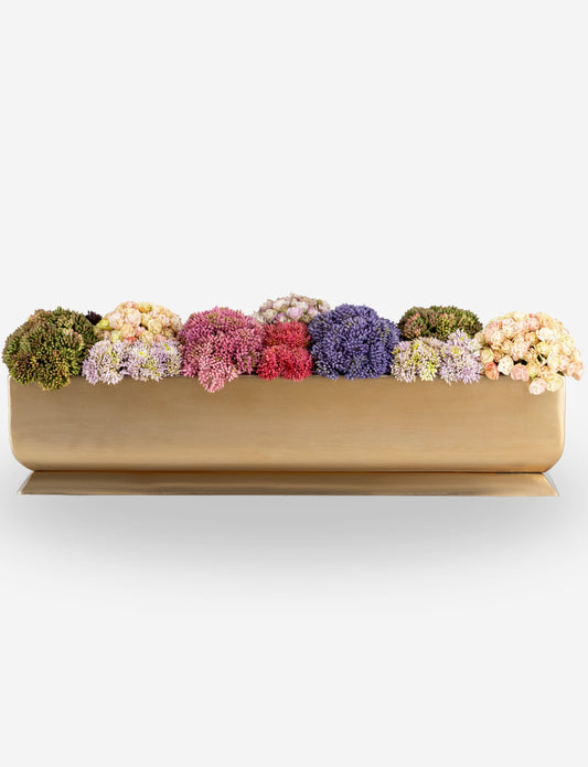 Chantilly Sedum Gold Trough